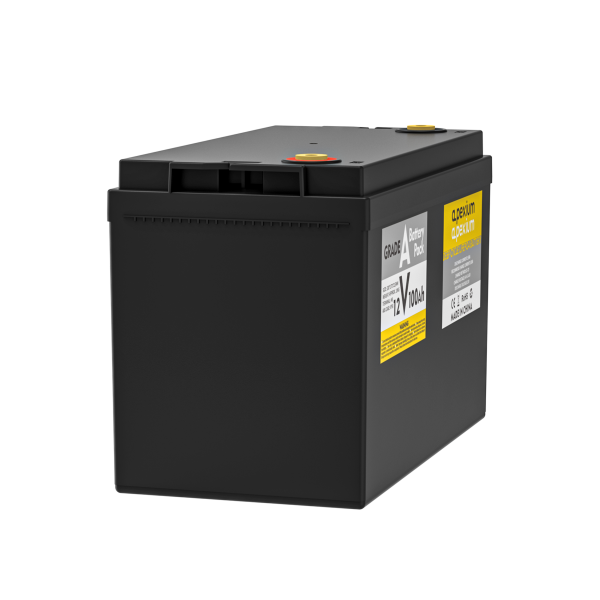 (China stocks) 12V 100Ah Lifepo4 battery pack with BMS